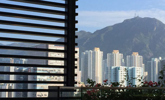 赛普科技OLED透明显示屏亮相香港
