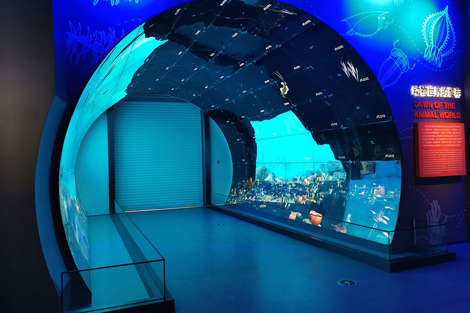 澄江化石地自然博物馆-OLED隧道